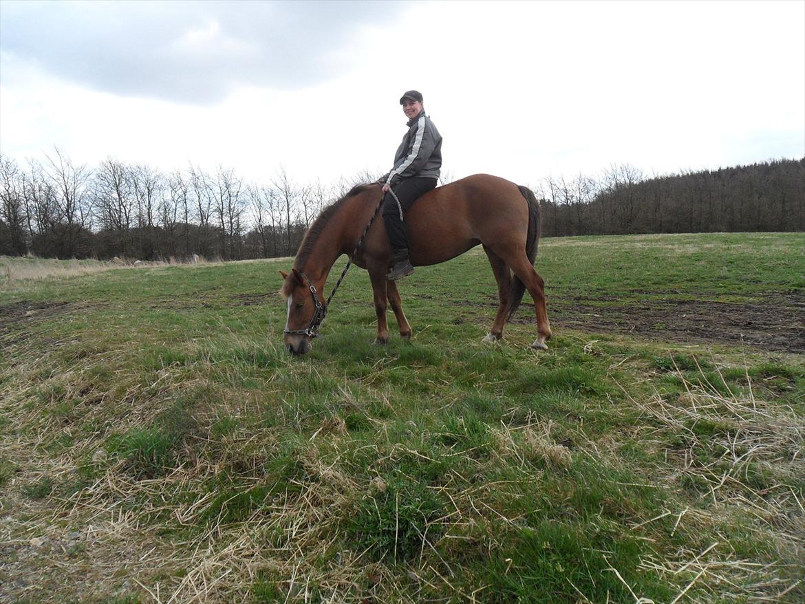 Anden særlig race Laura billede 14