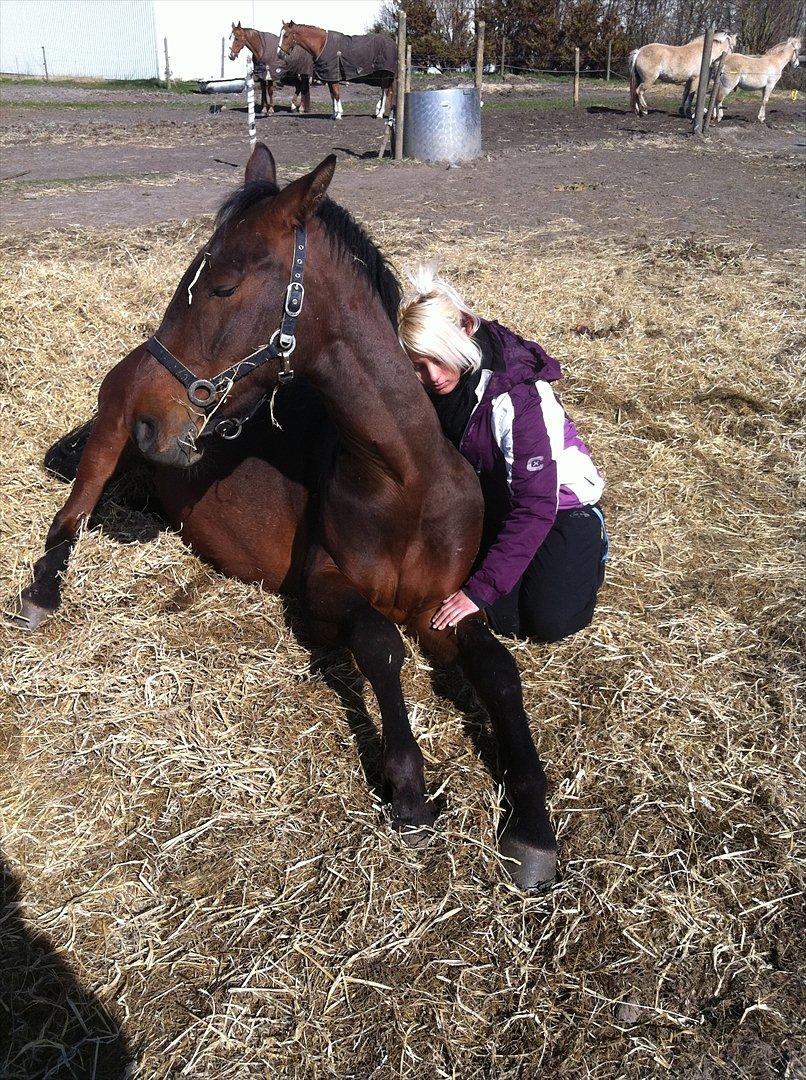 Anden særlig race La,cure <3 Guldklump billede 18