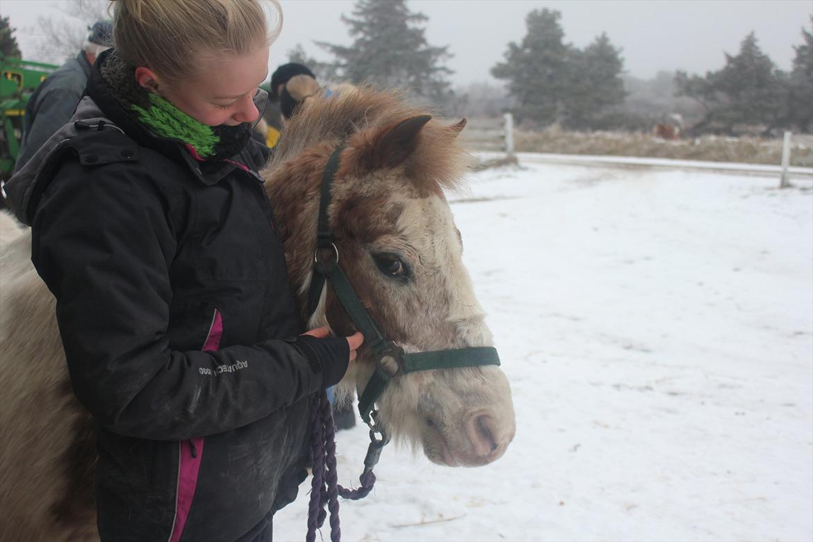 Anden særlig race Winnetou - Jeg elsker vores tid sammen!<3 billede 19