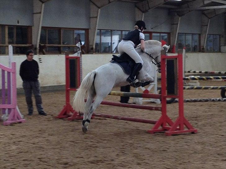 Anden særlig race Micky | Min ponymus <3 billede 10