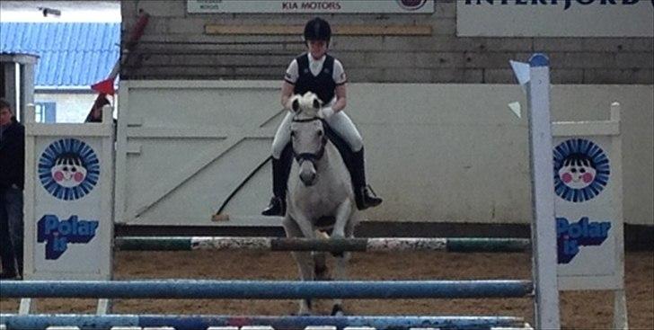 Anden særlig race Micky | Min ponymus <3 billede 13