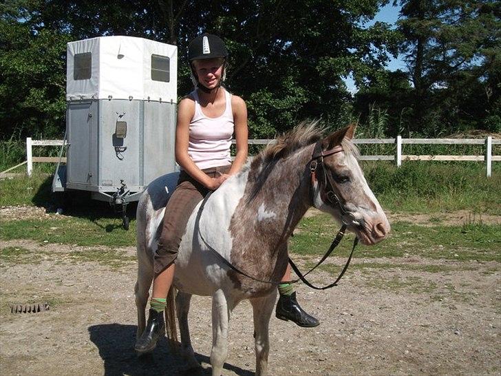Anden særlig race Winnetou - Efter en dejlige ride tur, i et dejligt sommer vejre, på en dejlig pony!! <3 2010 billede 14