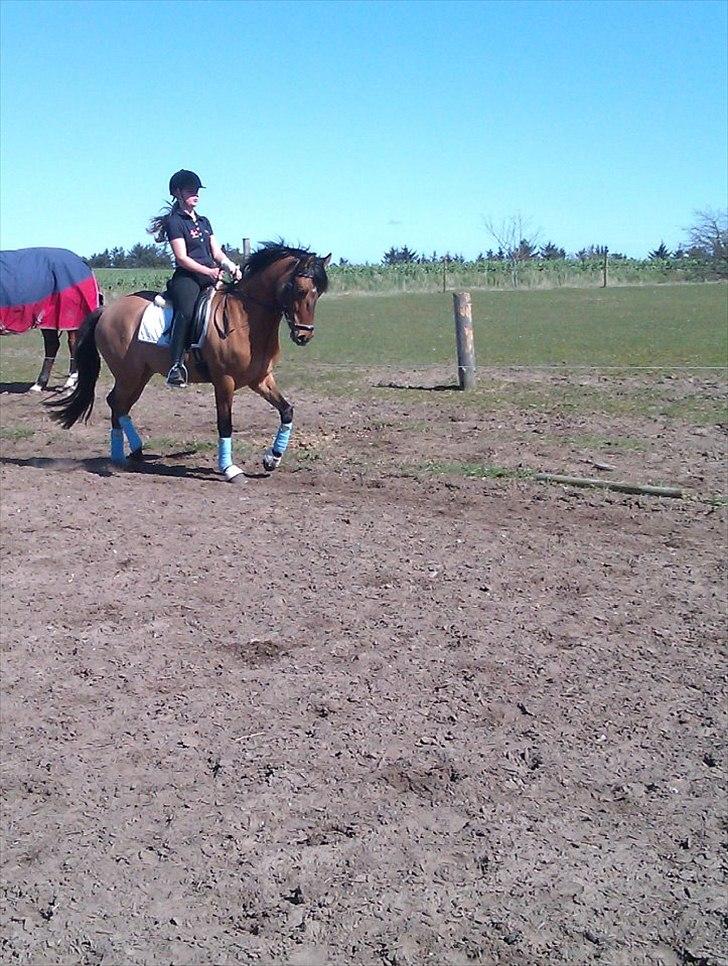 DSP Sanur Lux - Jeg elsker dig<3<3 billede 3