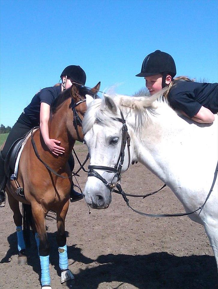 DSP Sanur Lux - Hygge med hypperne :) billede 4