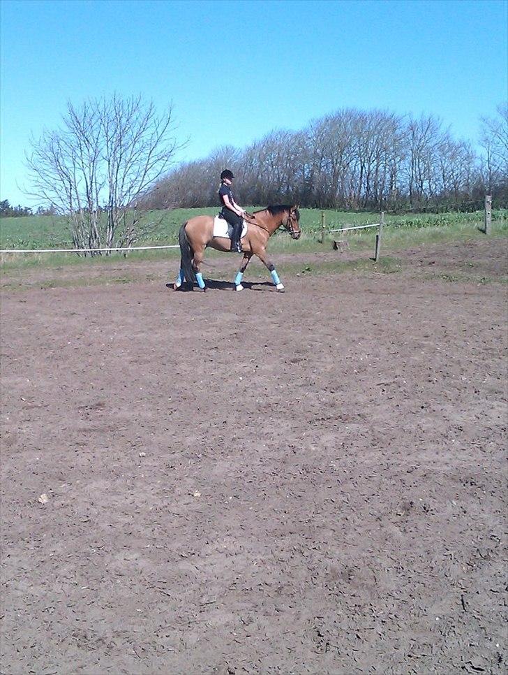 DSP Sanur Lux - Han er så sød:D billede 7