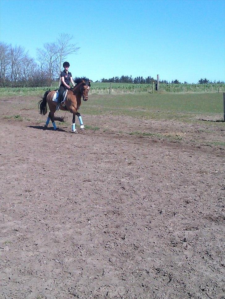 DSP Sanur Lux - <3<3<3<3<3 billede 8