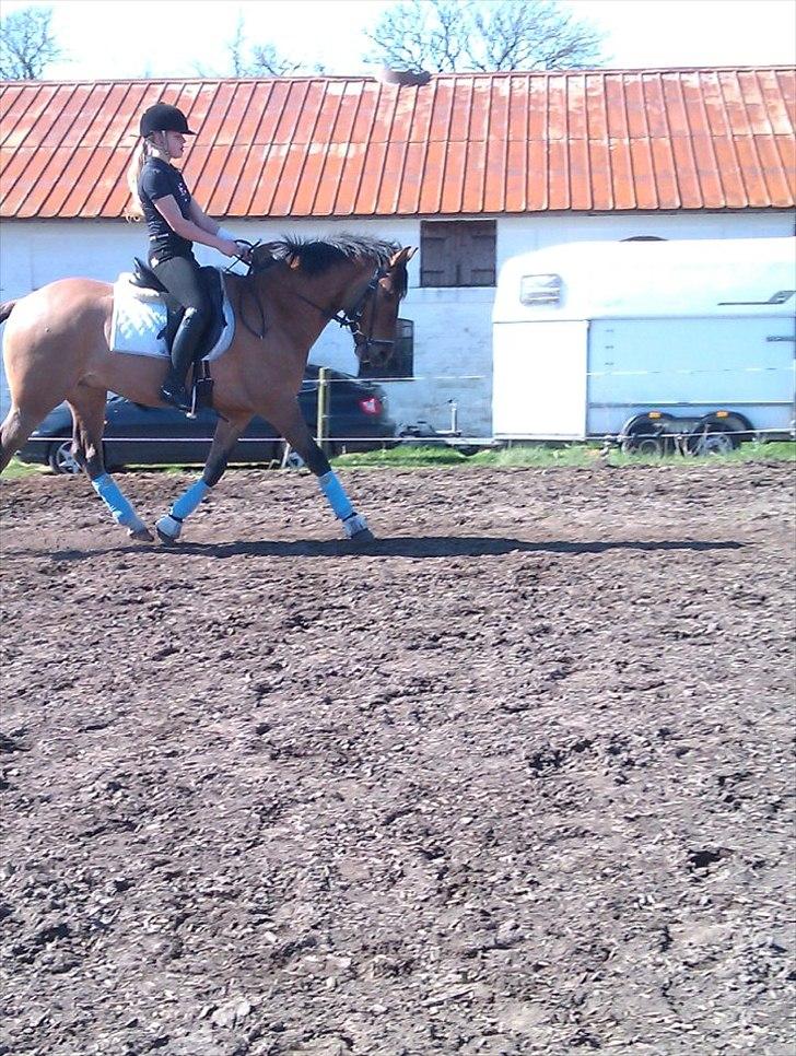 DSP Sanur Lux - Træning derhjemme :) billede 9