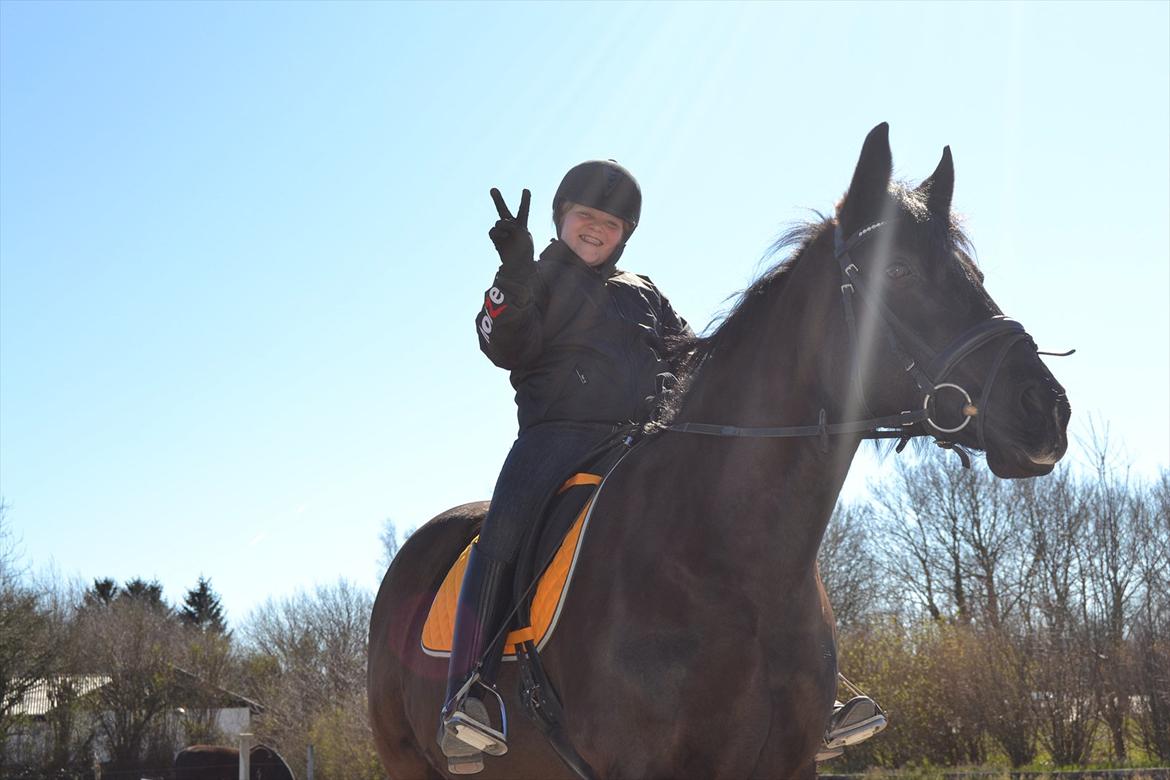 Oldenborg Gipsy - peace<3<3<3 billede 12