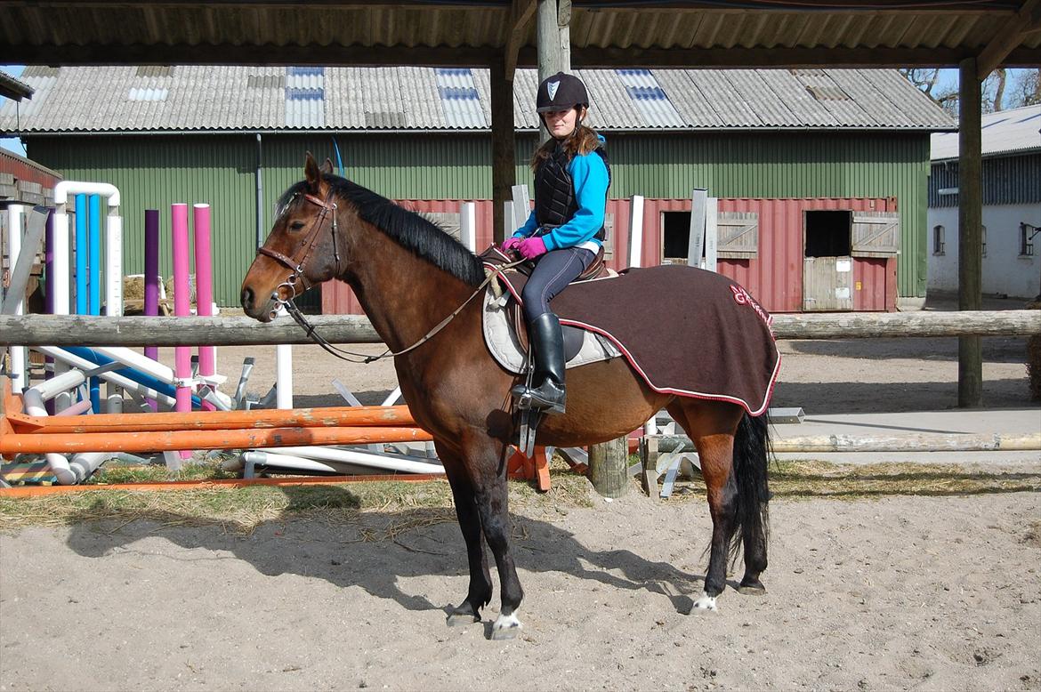 Anden særlig race Elipse - Gammelt billed

Foto af: Far billede 2