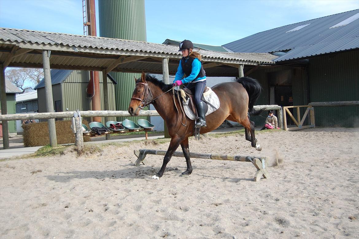 Anden særlig race Elipse - Gammelt billed

Foto af: Far billede 3