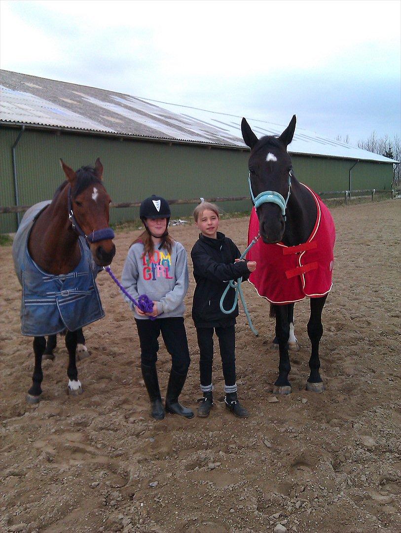 Anden særlig race Elipse - Elipse og Samir hygger!<3

Foto af: Emma Tønnesen billede 6