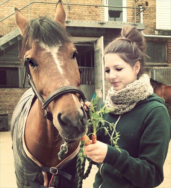 Tysk Sportspony Neon 9 - Neon 9 & jeg, på hans 18 års fødselsdag. D. 15 april 2012. lille skat <3
Jegelskerdig billede 1