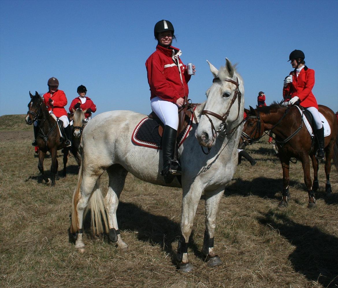 Knabstrupper Dritholgårds Gaiwa - Babyjagt 2012 billede 13