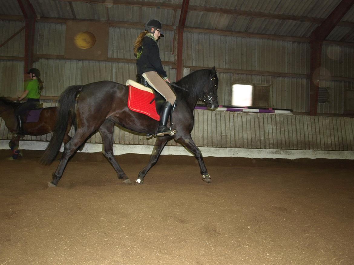 Anden særlig race Beauty - så øgning skrådt igennem billede 9