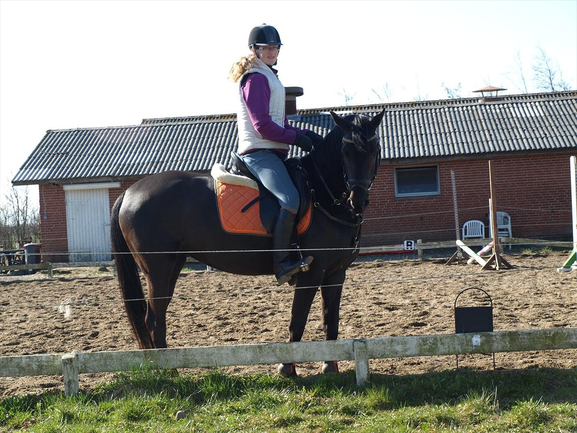 Anden særlig race Beauty - Ved at varme op til spring, men skal lige være fotomodel inden :P billede 11