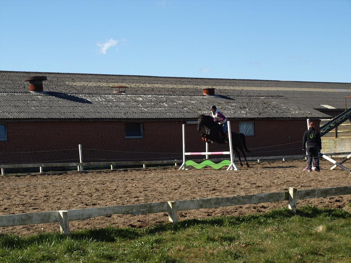 Anden særlig race Beauty - endnu en gang - det kan føles lidt voldsomt med så meget overspring :P billede 13