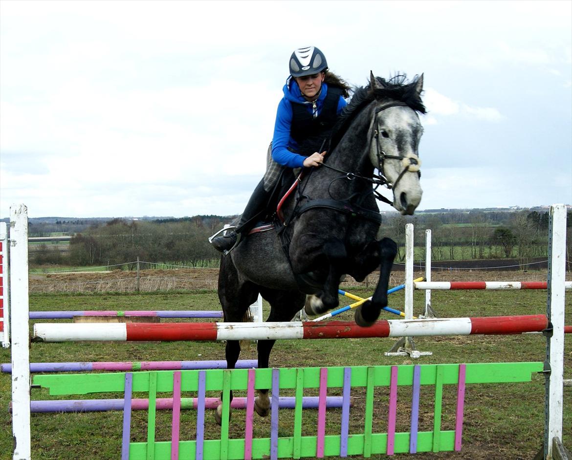 Dansk Varmblod Amona - Amona & jeg springer.. 15-04-2012!<3  billede 5