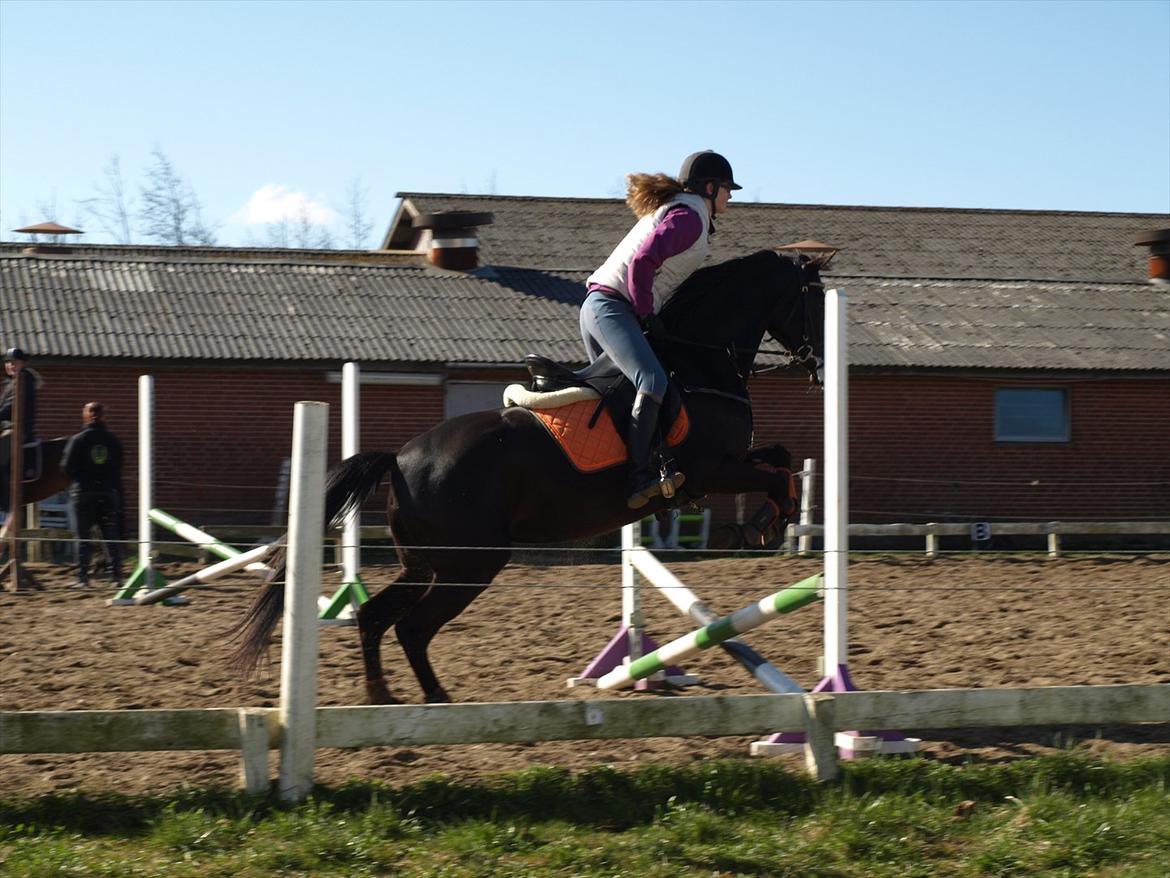 Anden særlig race Beauty - og sætter STORT af :P billede 16