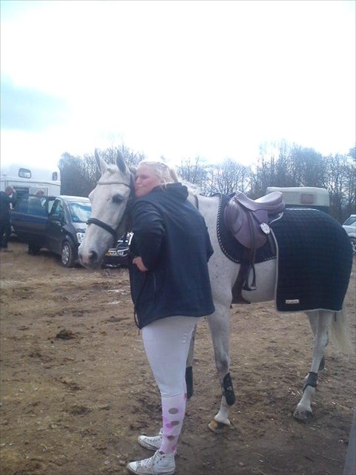 Dansk Varmblod LORETTA - Sanner og Lori hygger:-D Fredericia 2012 billede 15