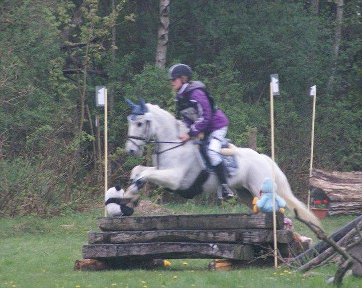 Anden særlig race Tøsen billede 7