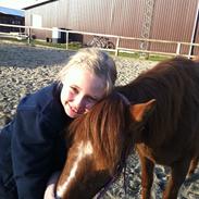 Anden særlig race Missy<3<3<3