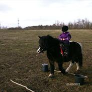 Anden særlig race Rasmus (ralle)