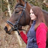 Dansk Varmblod Lakeisha