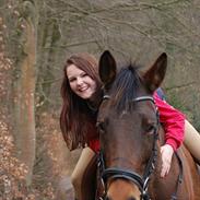 Dansk Varmblod Lakeisha