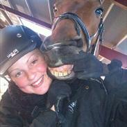 Dansk Varmblod Akitta