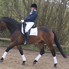 Holstener I Love You II