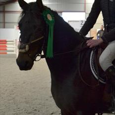 DSP Racing Tai Vil altid være elsket!! <3<3