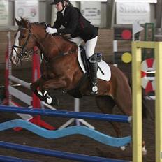 New Forest Escada  <3 himmelhest :’( 