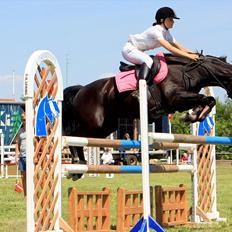 DSP Engedals Piaffe *Norge*