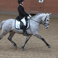 DSP MÅLUND'S MINI-MAJ