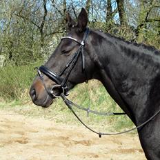 Traver Exposito Attack