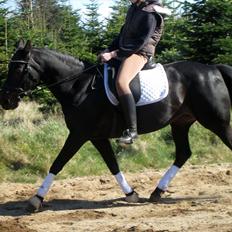 Traver Exposito Attack