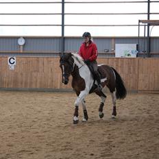 Anden særlig race Spirit Of Sapana