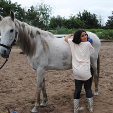 Anden særlig race Penelope
