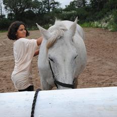 Anden særlig race Penelope