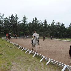 Anden særlig race Penelope