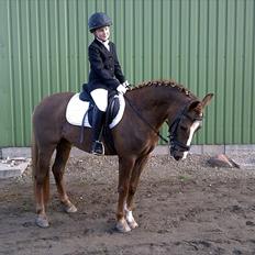 Anden særlig race Isobell