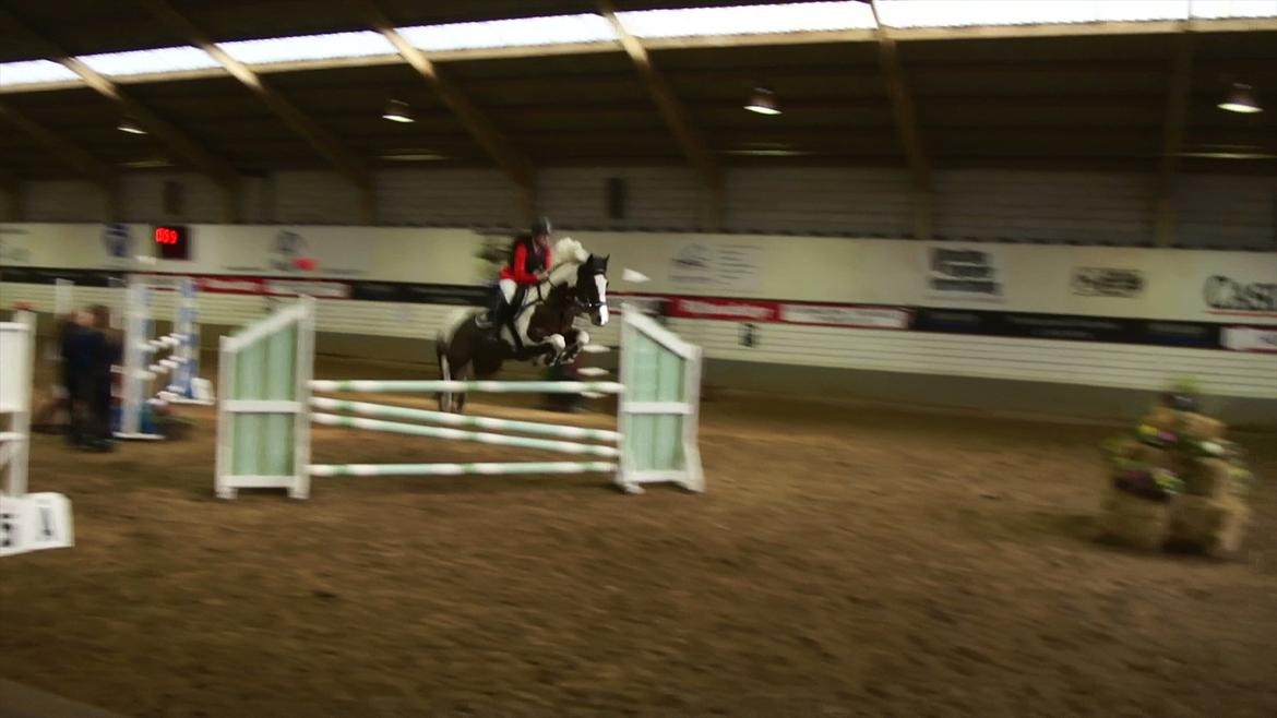 Pinto Sheroc Højgård - MB2** i vejle
- taget fra video billede 8