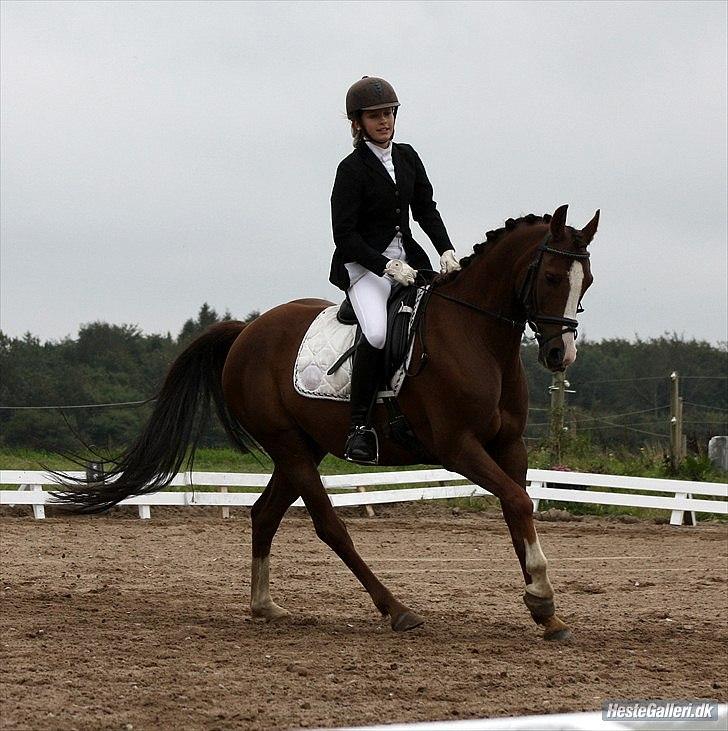 DSP Sønderlund Sharon - Foto: Caroline Blohm billede 3