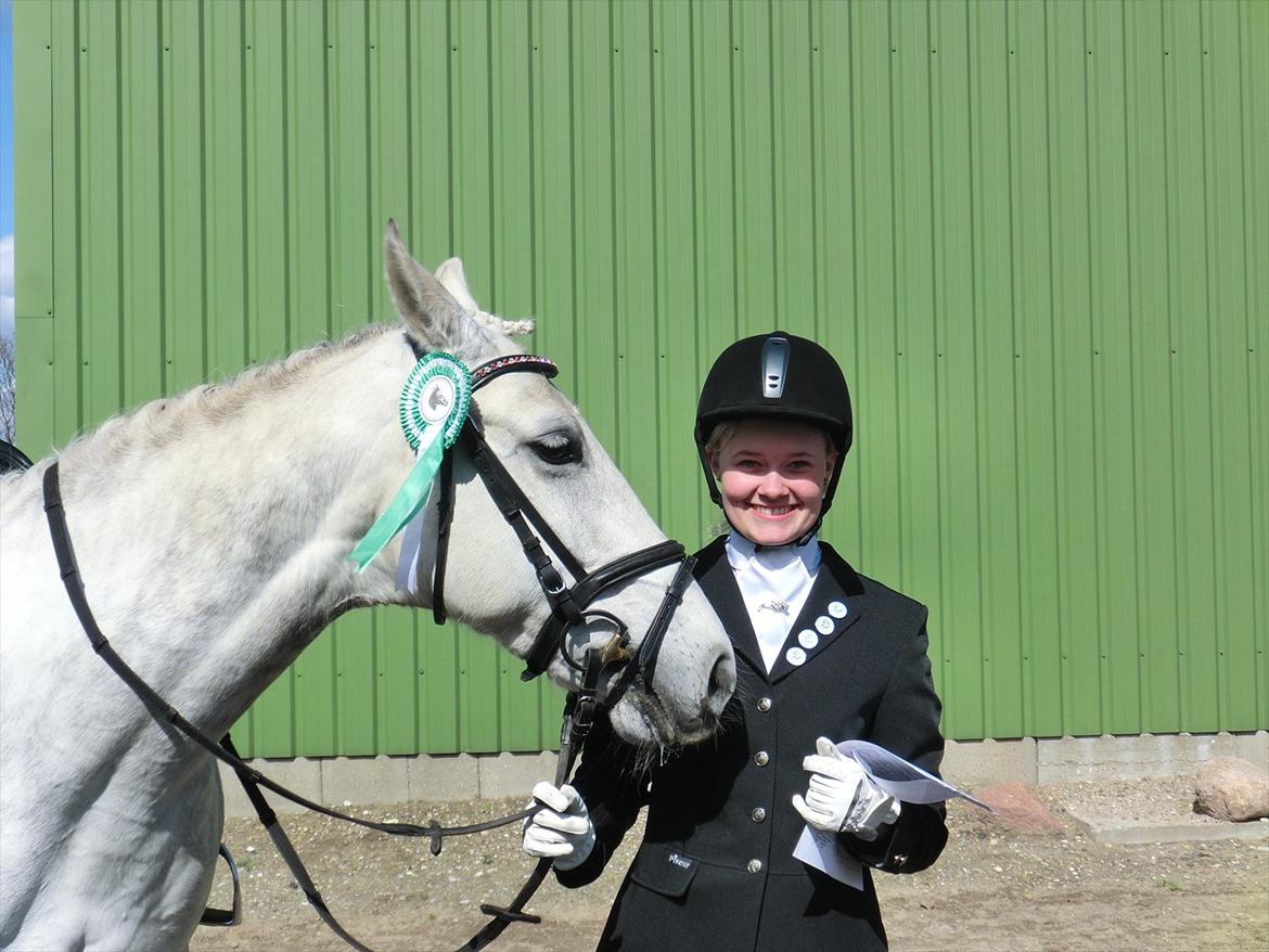 Anden særlig race Stella  - Andet stævne 
redet hende i lidt over 1 måned
LC3 til 66,25 % 3 plads billede 16