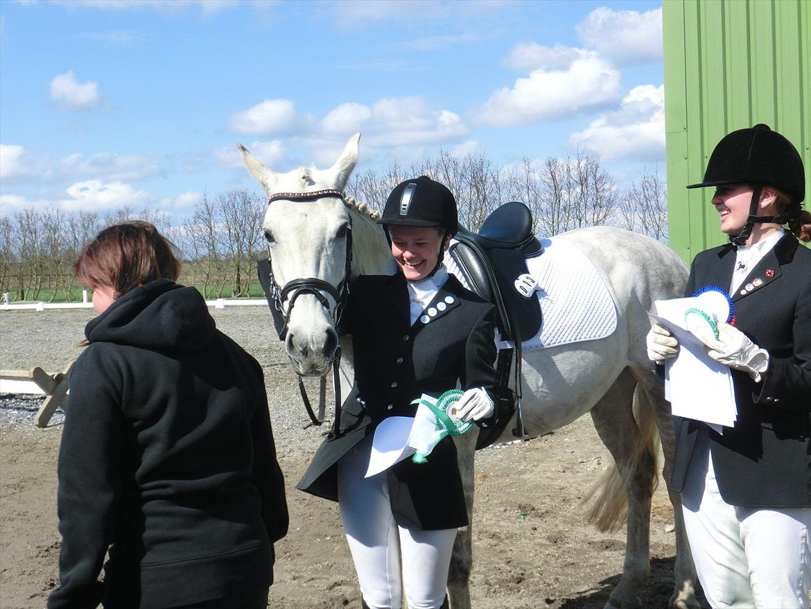 Anden særlig race Stella  - Præmieoverrækkelse  billede 6