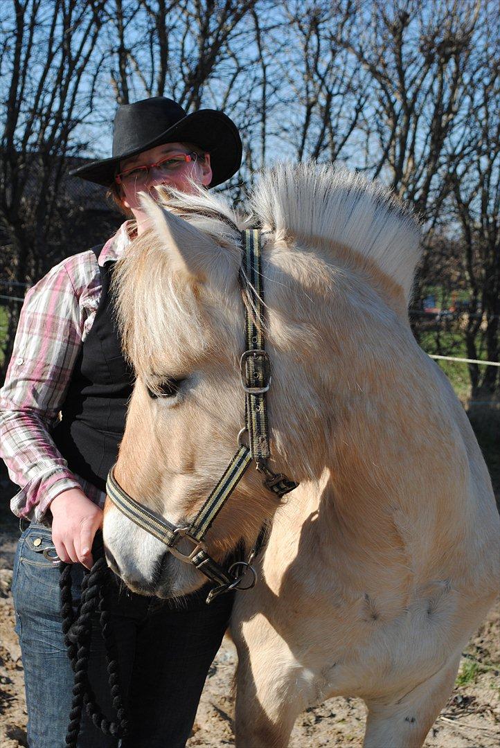 Fjordhest figther - kan det ædes;) billede 28