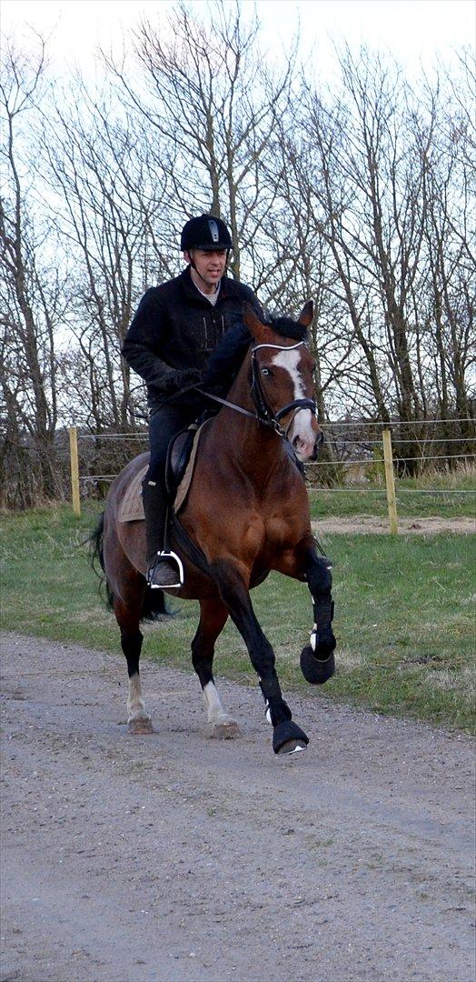 Anden særlig race Bianca - Bianca og min far i fuld galop :-D billede 15