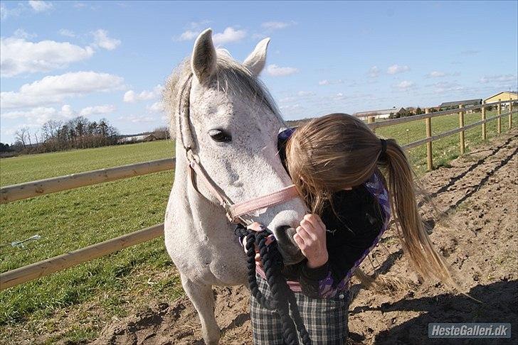 Anden særlig race Snorgaardens Micha!<3 (Mulle:*) {Part} billede 2