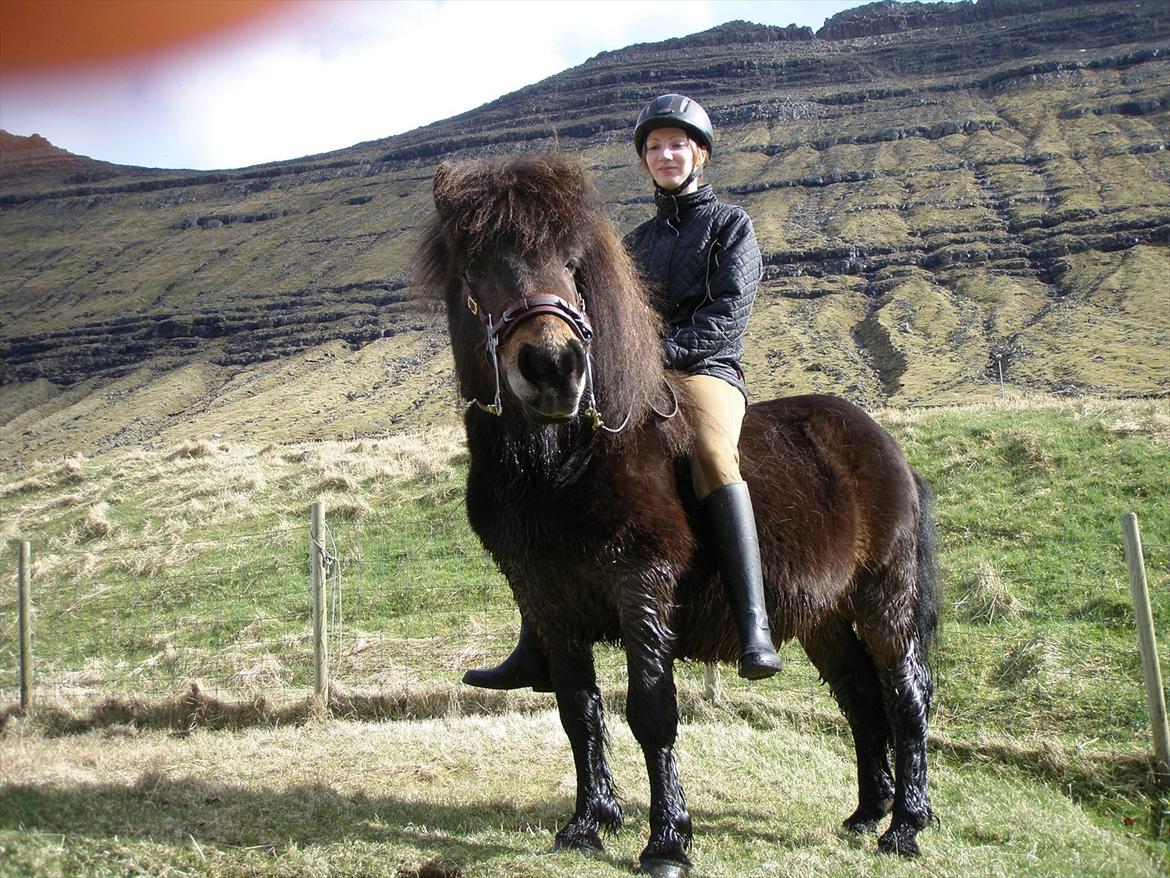 Færøsk hest Líggjas [Haft i pleje] - Mig og Líggjas :) | April 2012 billede 1