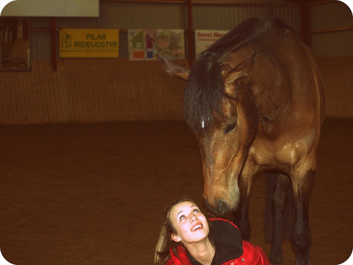 Dansk Varmblod Le Andrea - Jeg elsker dig <3 billede 7